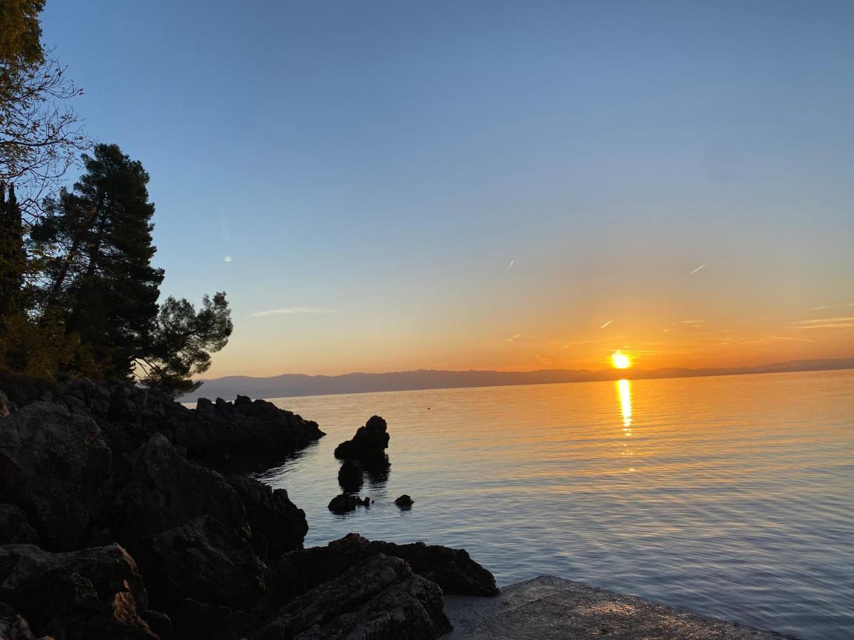 Villa Lovran - 150M To The Beach - Infinity Pool - Incredible Sea View - Fitness Room Extérieur photo